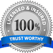 Insured and Licensed